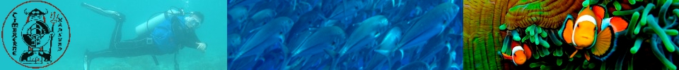Frontpage image